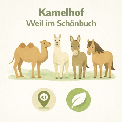 Kamelhof Weil im Schönbuch Infografik